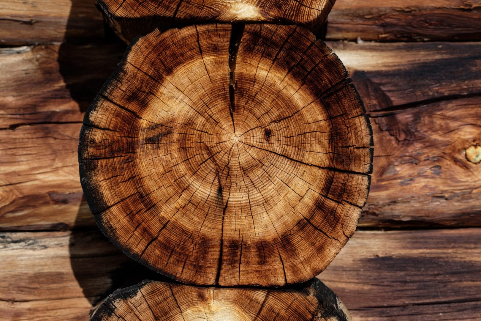 IL Y A DU NOUVEAU POUR LE BOIS !!